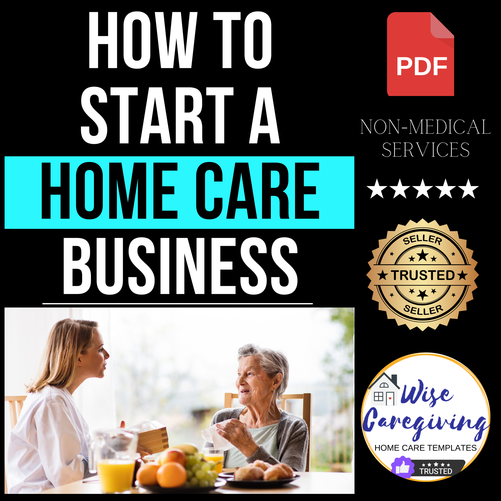 Home Care Business Guide-NON-MEDICAL - Wisecaregiving