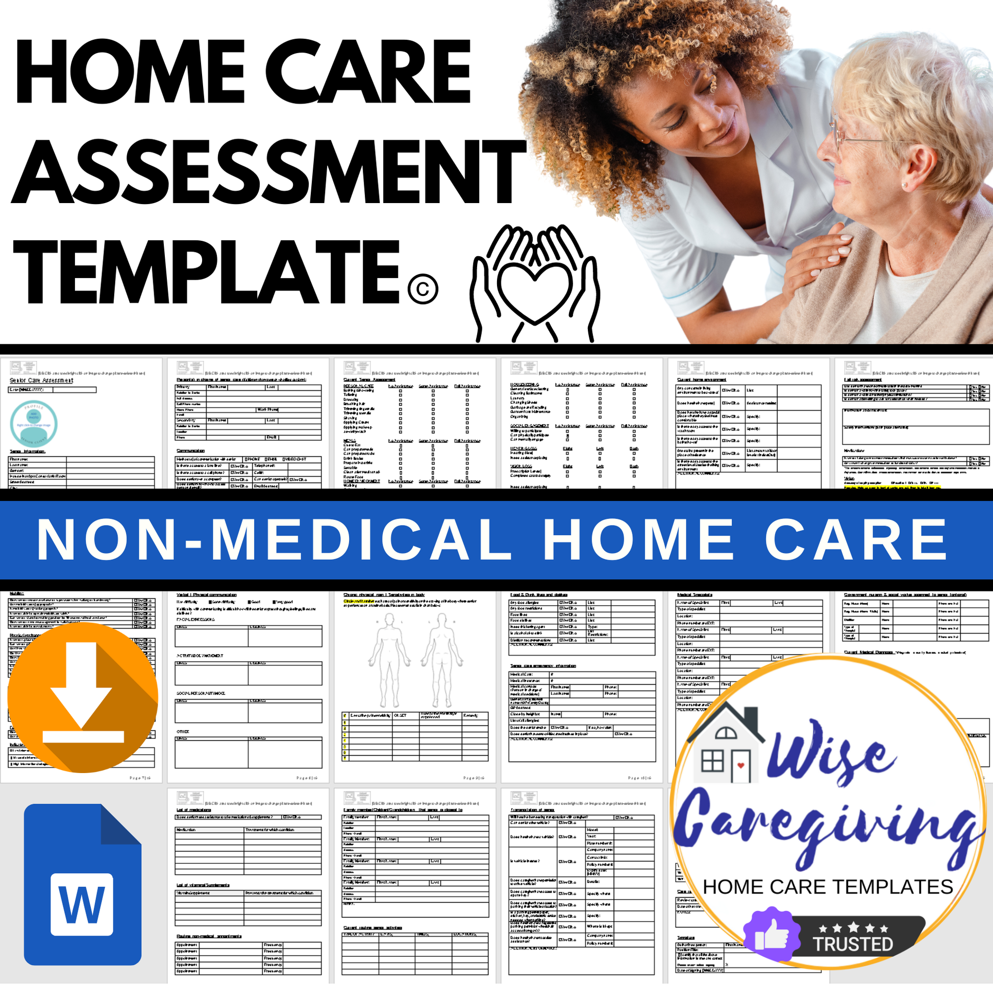 Home Care Assessment Template - Wisecaregiving