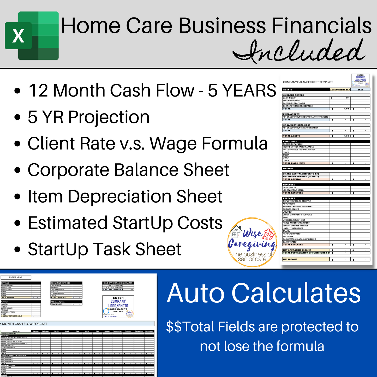 Home Care Business Plan Template